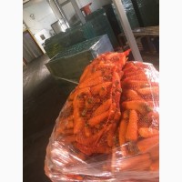 Продам моркву 1 2 сорт 2018