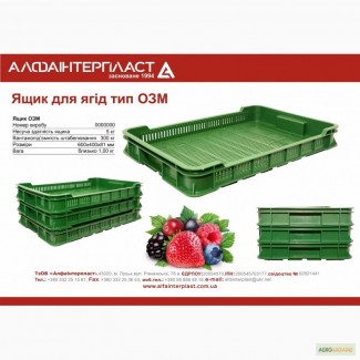 Ящик пластиковый для ягод 600х400х80 5 кг