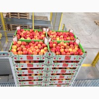 Яблоки оптом производства Польша