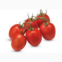 Продажа по оптовым ценам помидор