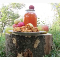 Уксус яблочный домашний с горного сада Карпат