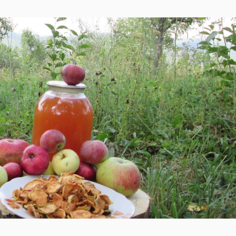 Фото 6. Уксус яблочный домашний с горного сада Карпат