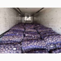 Продам картоплю від виробника