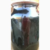 Целебный сок бузины чёрной, натуральный 1 лт