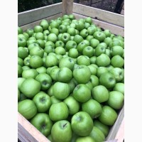 Яблоки на експорт