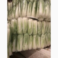 Продам капусту пекінську холодильник