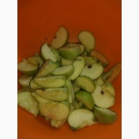 Яблокорезка пневматическая для резки мелких и средних яблок