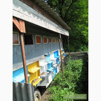 Продам передвижной пчелопавильон, прицеп для пчел, пасеку
