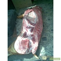 Свинина свиноматки в полутушах охлажденка дешево