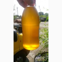 Покупаем масло растительное техническое