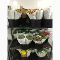 Тюльпаны оптом из Голландии от оптового магазина цветов Азалия