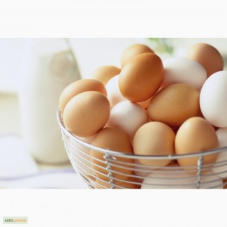Продам яйца куриные, CO+, CO, C1, C2, грязь, бой/тек, насечка, меланж все от производителя
