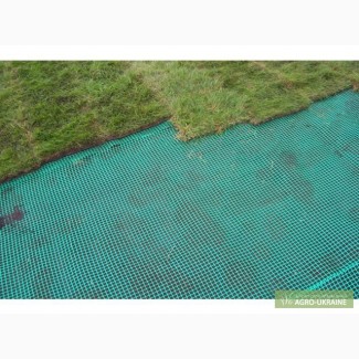 Пластиковая сетка для защиты газонов от кротов, Газон 1 (2м*30м)