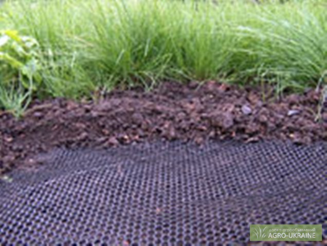 Фото 2. Пластиковая сетка для защиты газонов от кротов, Газон 1 (2м*30м)