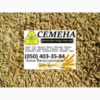 Продам Пшеница Ярая посевной матриал ( Тризо, Гранни )