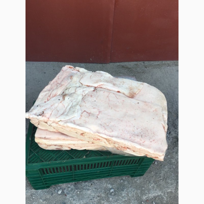 Фото 4. Продам сало с беконных пород, шкуру, свинину на кости в шкуре и обрезную