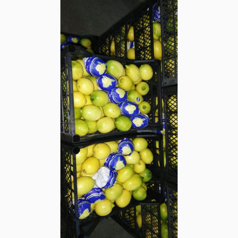 Продам лимоны (Турция)