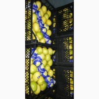Продам лимоны (Турция)