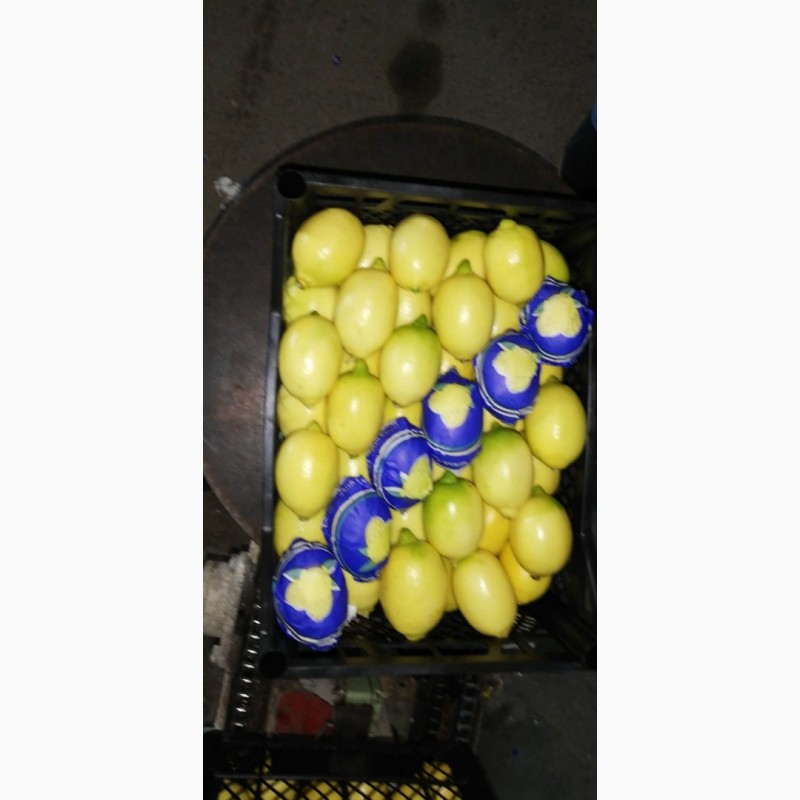 Фото 11. Продам лимоны (Турция)
