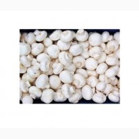 Продаем грибы шампиньоны свежие чистые белые