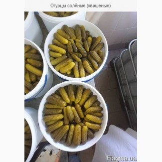 Продам огірок солений (квашений) без консервантів, виробник ТОВ Джерела Карпат
