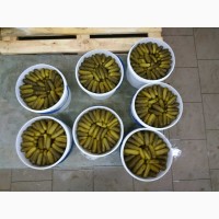 Продам огірок солений (квашений) без консервантів, виробник ТОВ Джерела Карпат