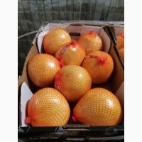 Продам апельсини лимони гранати помело