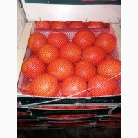 Продам апельсини лимони гранати помело