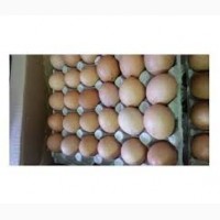 Оптовая продажа реализация доставка куриное яйцо