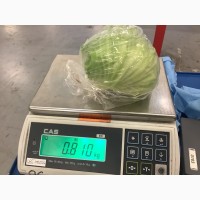 Продам салат айсберг Голландия