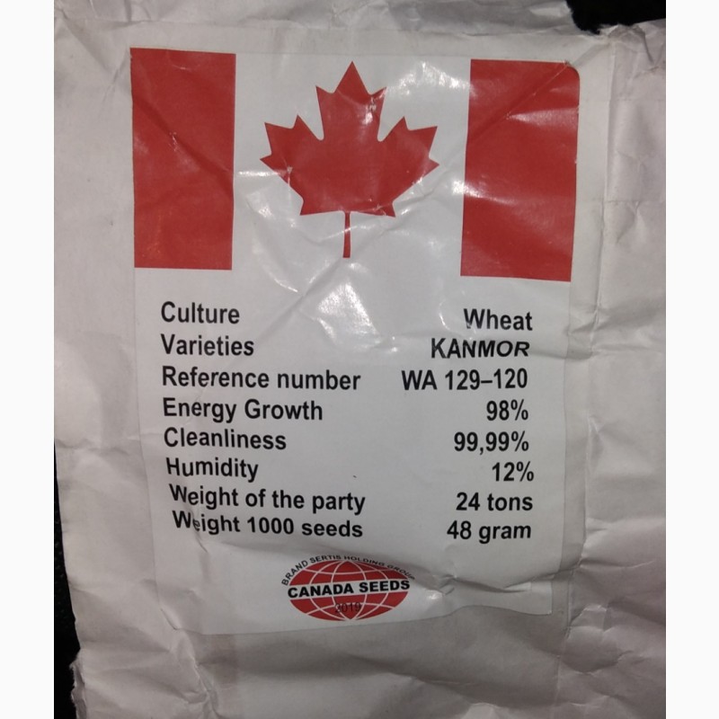 Фото 8. Продам насіння пшениці Kanmor(Канада)