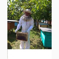 Бджолосім#039;я та бджолопакети