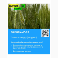 Насіння пшениці - BG Duriamo 2S (тверда дворучка) Оригінатор Biogranum, Сербія