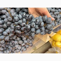 Продам виноград « Молдова»