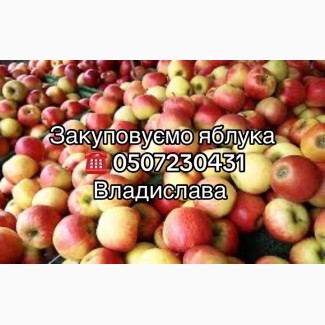 Закуповуємо яблука від населення