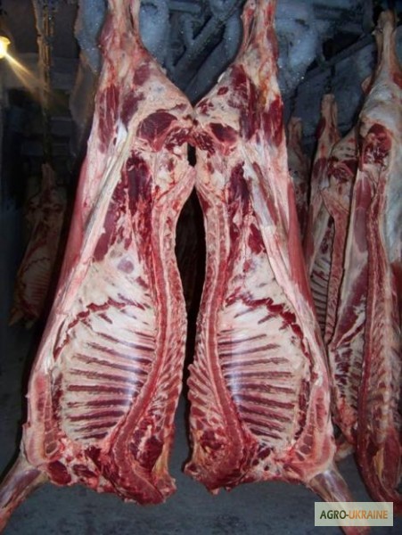 Реализуем мясо свинины, говядины
