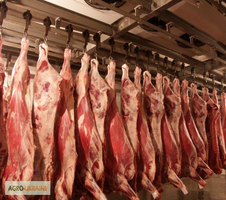 Фото 2. Реализуем мясо свинины, говядины