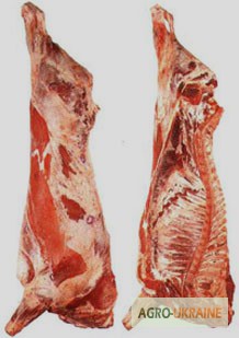 Фото 3. Реализуем мясо свинины, говядины