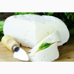 Продам оптом от производителя Сыр Масло Брынза