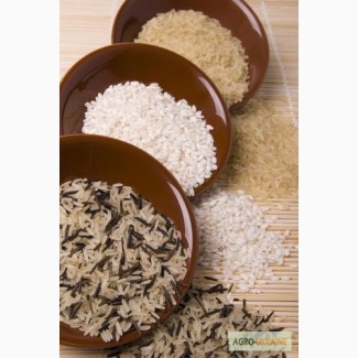 Рис оптом длинный, круглый, пропаренный, сечка. басмати, гречка