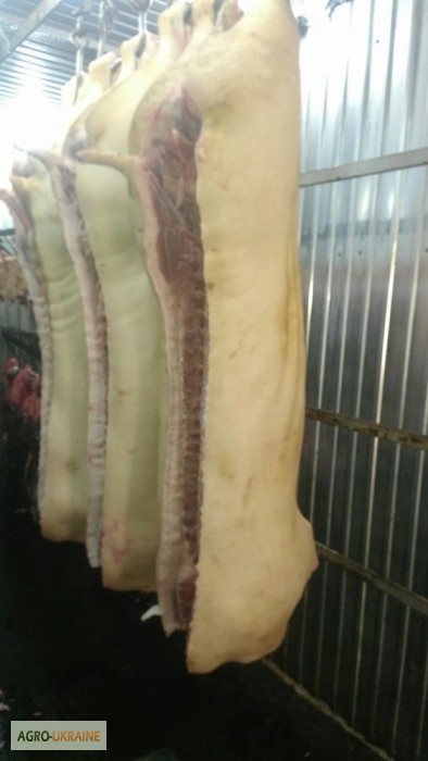 Фото 3. Мясо Свіже Охолоджене в пів тушках