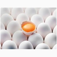 Закупает Свежые куриные яйца оптом по хорошой цене