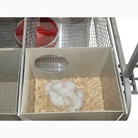Клетка для кролика откормочная, двухярусная пристеночная