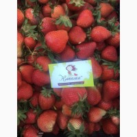 Продаем ягоды клубники