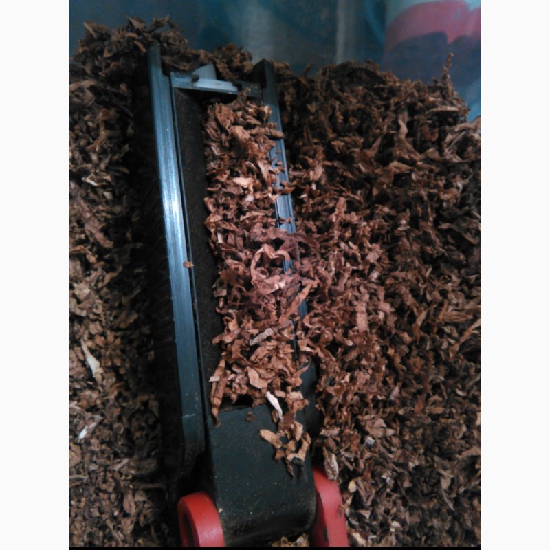 Фото 12. Продам семена табака- Вирджиния, Берли, Трапезонд_92, Махорка