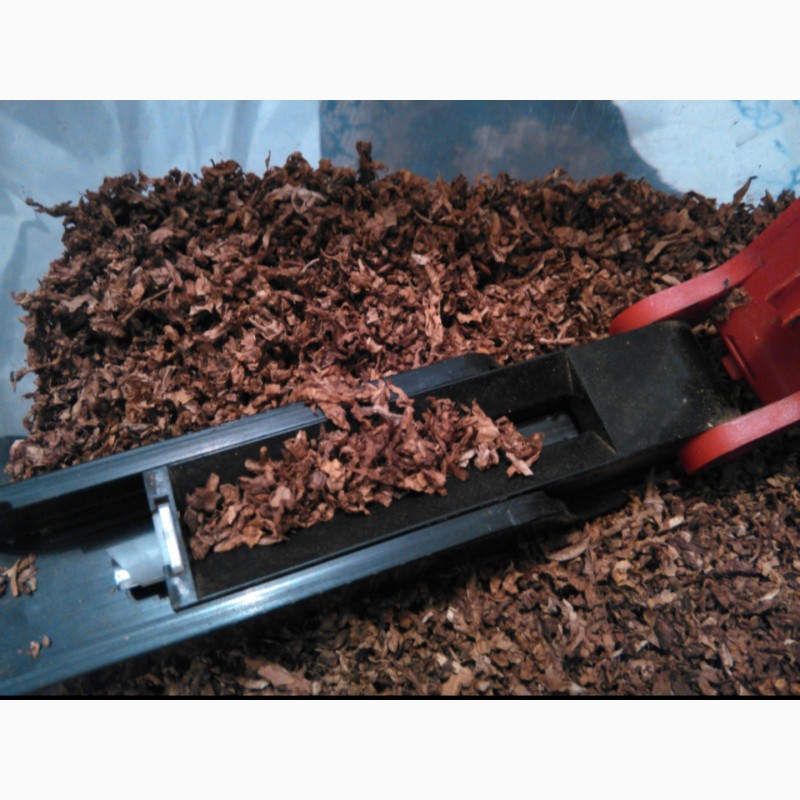 Фото 14. Продам семена табака- Вирджиния, Берли, Трапезонд_92, Махорка