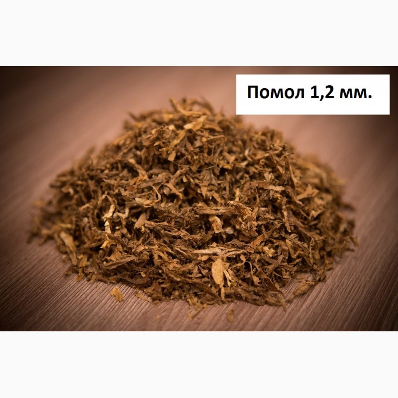 Фото 5. Продам семена табака- Вирджиния, Берли, Трапезонд_92, Махорка