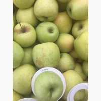 Продаем яблоки товарные и промпереработка врожай 2023 року. НДС