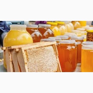 Продам мед, без антибіотиків