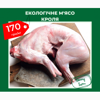 М#039;ясо кроля